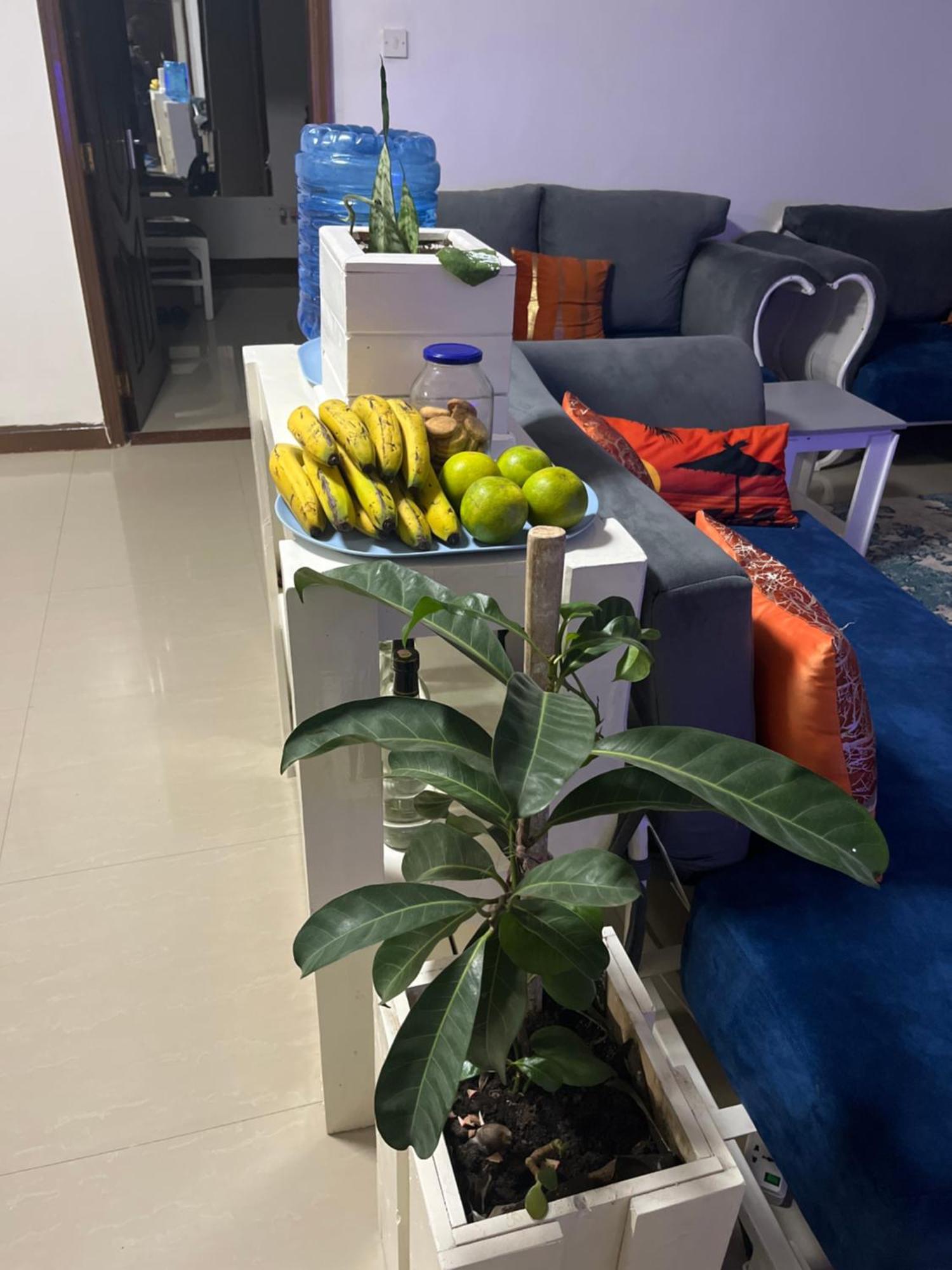 The Coffee Residences- 3 Bedroom Apartments-4Km To Jkia, 7Km To Cbd Nairobi Exteriör bild